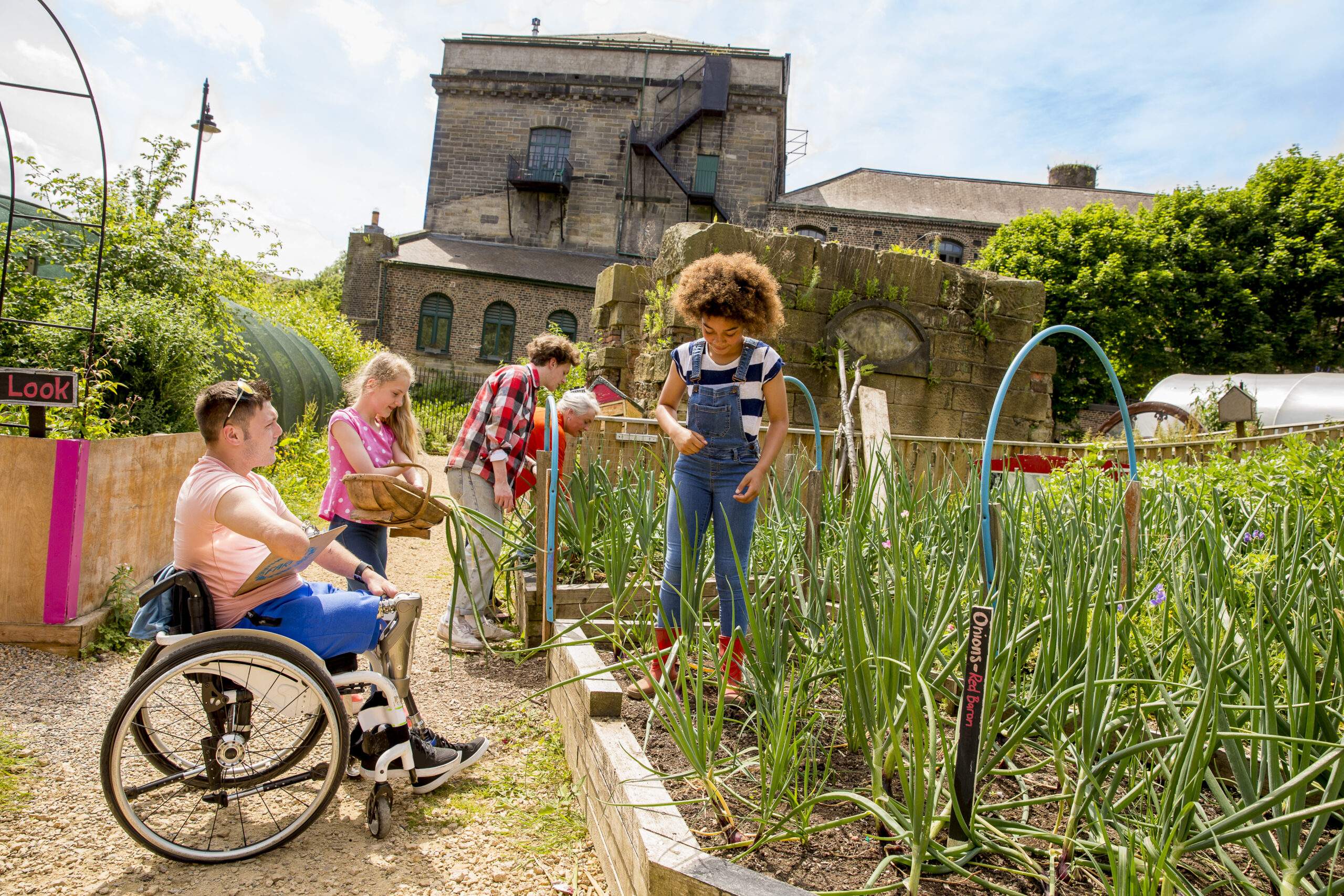 Gardening at the Farm - NursLink